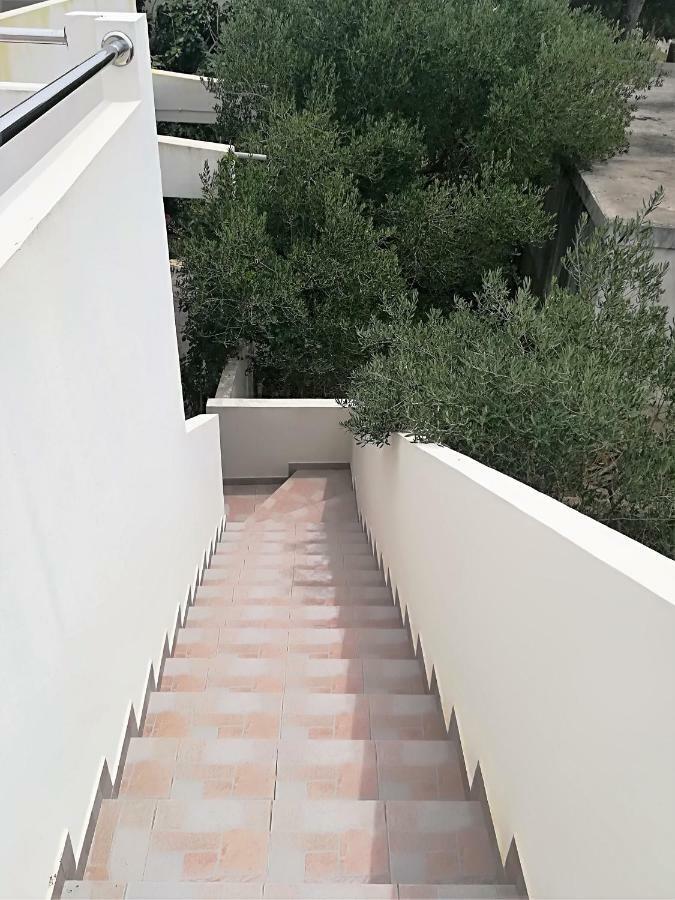 Apartman Rosanda Premuda Экстерьер фото